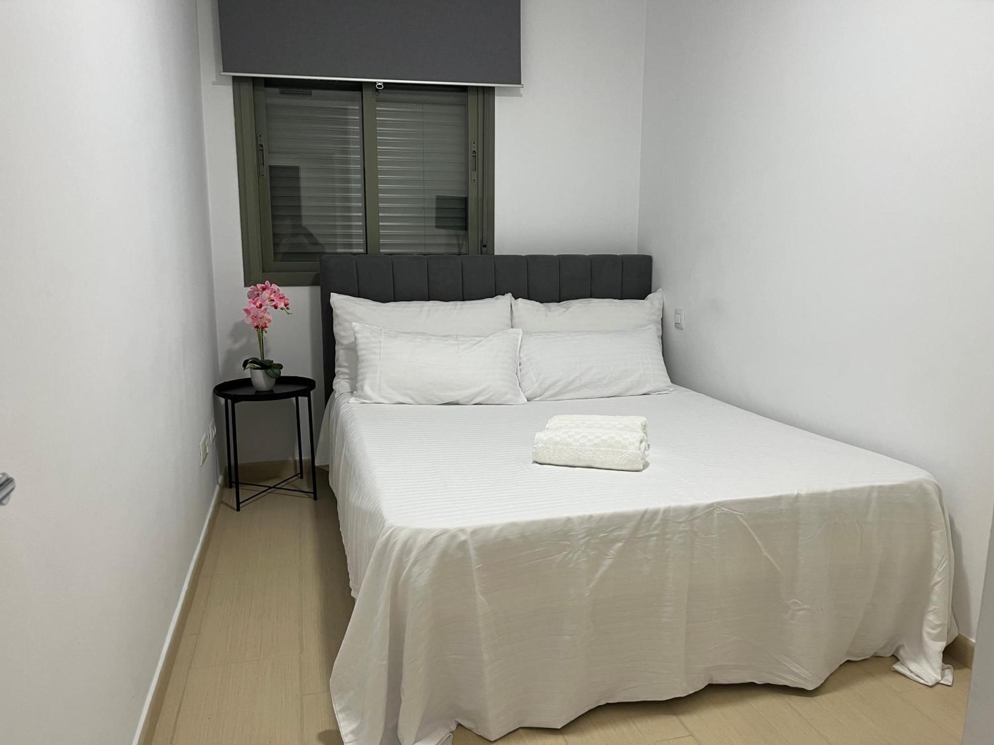 Apartment Moderno Y Centrico De 2 En