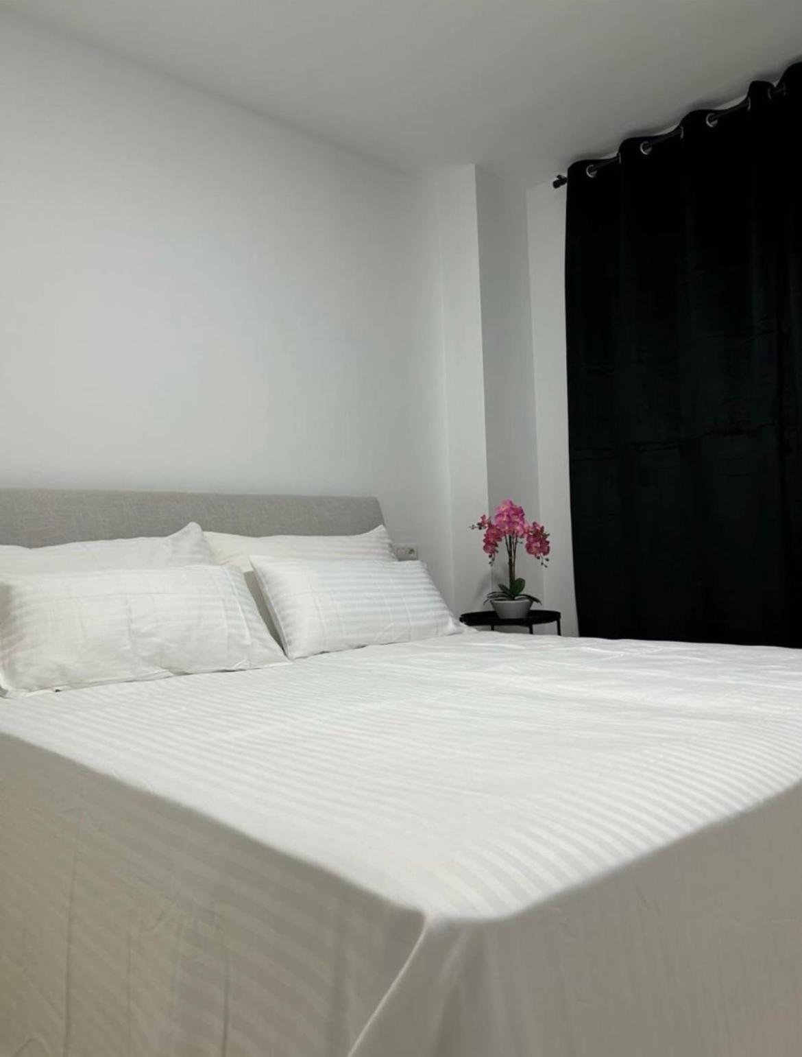 Apartment Moderno Y Centrico De 2 En *